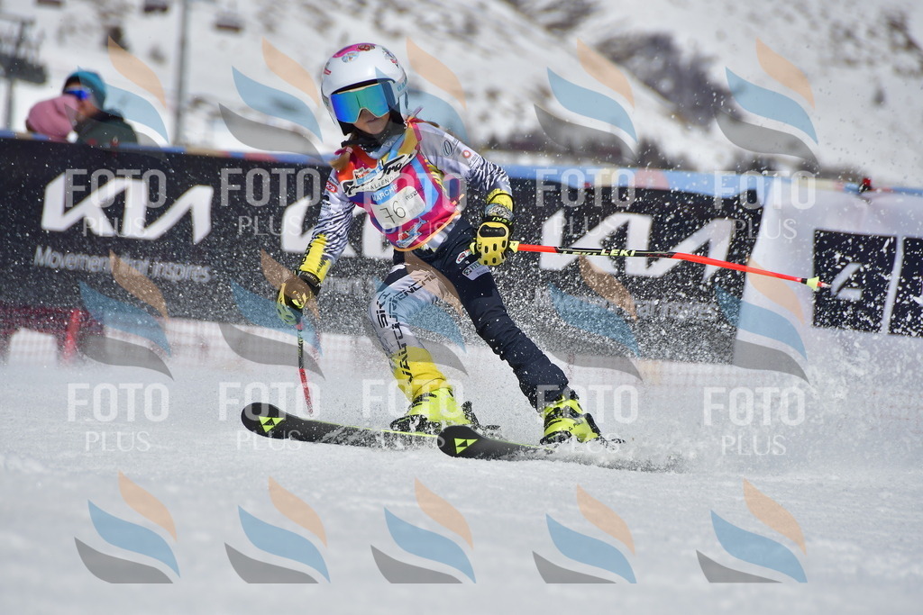 _DSC7385 | holidayphoto