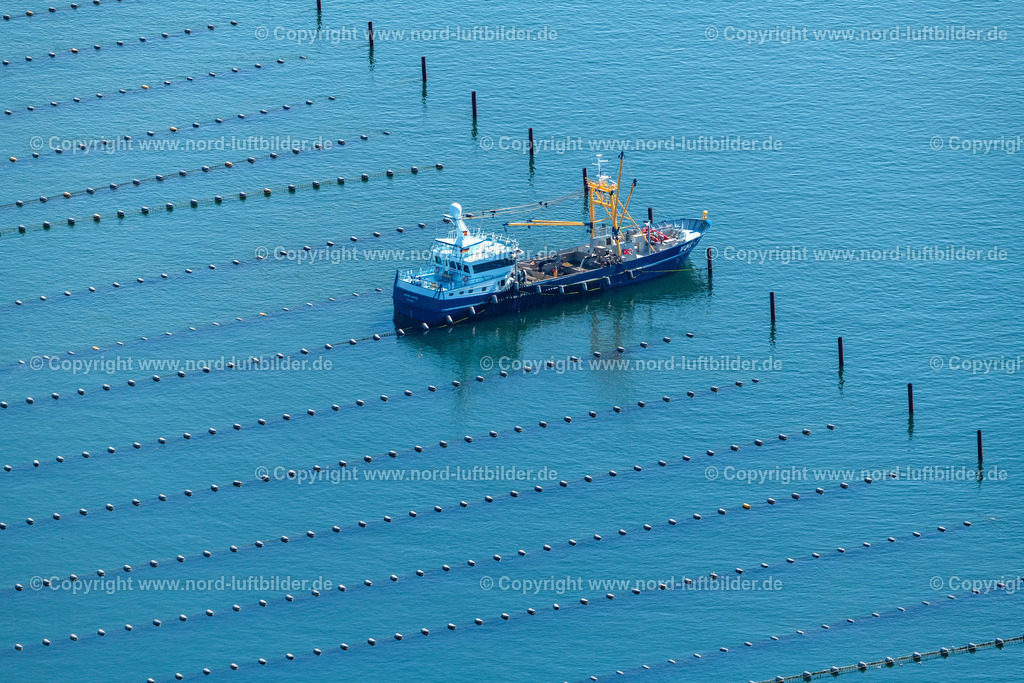 Sylt_Hörnum_Johanna_Leintje_Wyk_2_ELS_9046130822 | HöRNUM (SYLT) 13.08.2022 Muschelkutter Schiff " Johanna Leintje " " WYK 2 "bei den Zuchnetzen der Miesmuschel an der Ostselte der Insel (Sylt) im Bundesland Schleswig-Holstein, Deutschland. // Mussel cutter ship "Johanna Leintje" "WYK 2" at the breeding nets of mussels on the eastern side of the island (Sylt) in the state Schleswig-Holstein, Germany. Foto: Martin Elsen