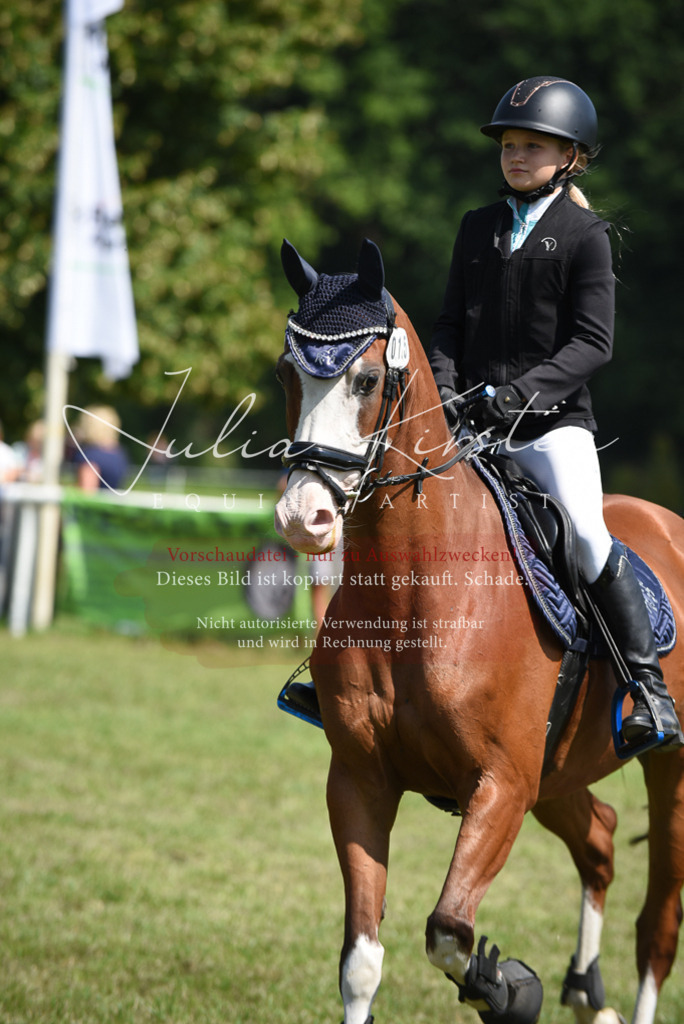 DSC_9990 | Pferde- und Turnierfotografie in Westsachsen. Pferdeportraits, Auftragszeichnungen und intuitive Kunst.