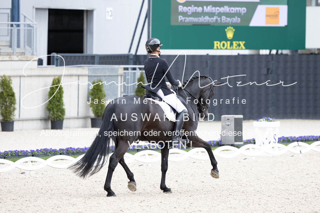 126A1124 | jasminmetznerfotografie