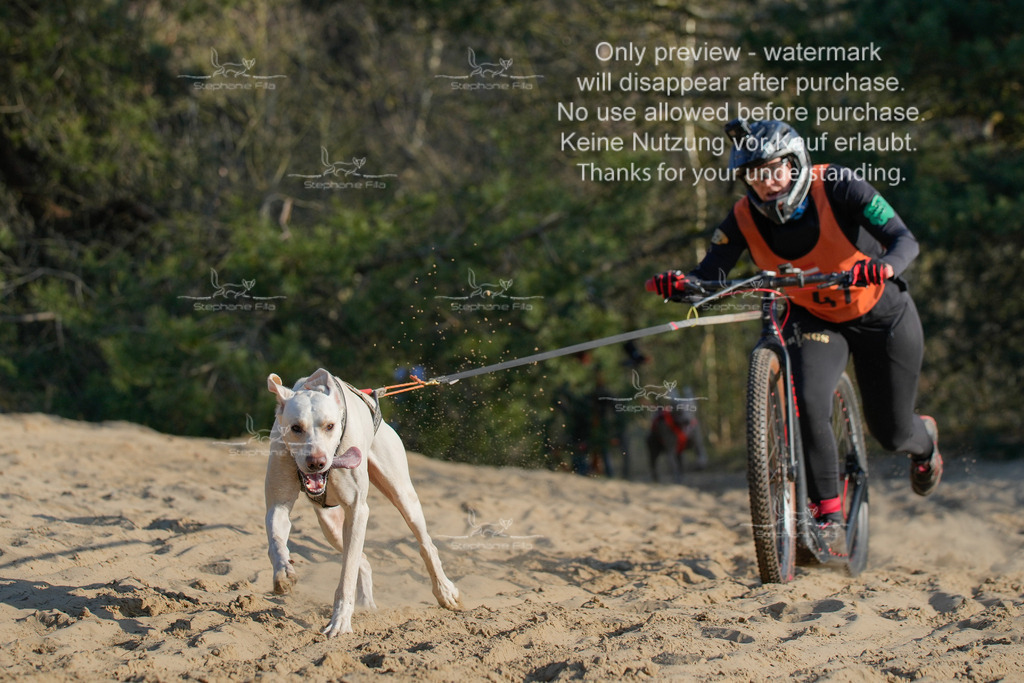 So_Scooter-270 | stephaniefillaphotographie - Realisiert mit Pictrs.com