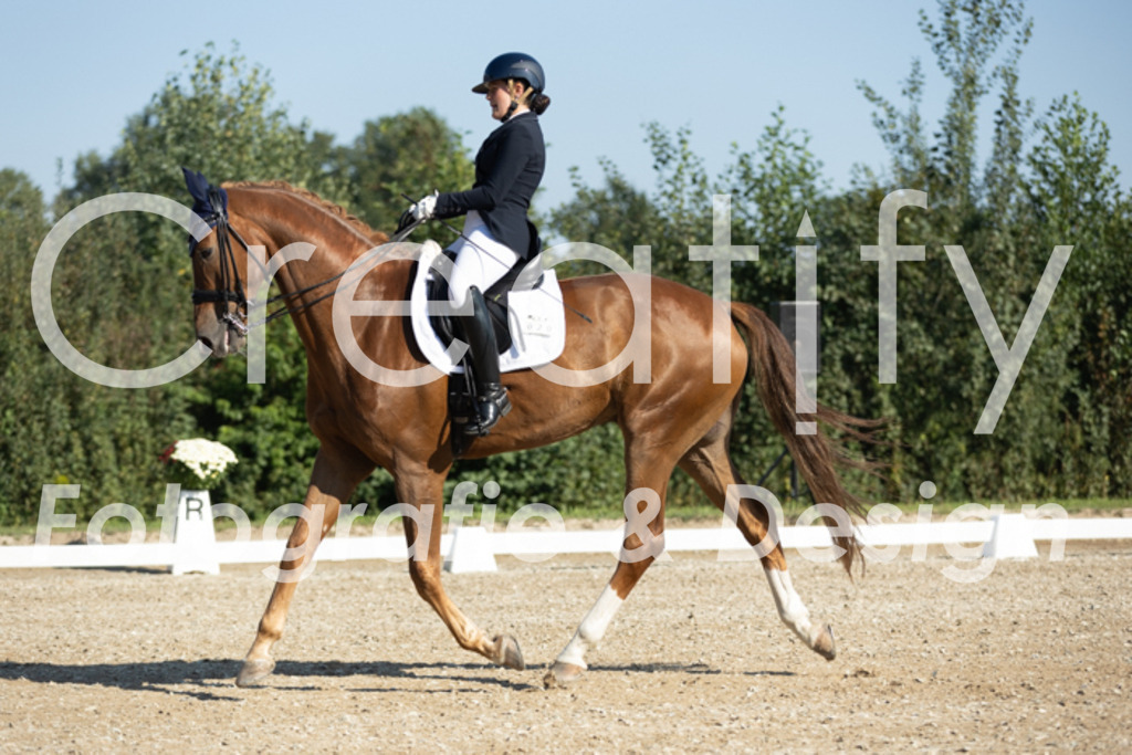 IMG_0488 | Creatify Fotografie