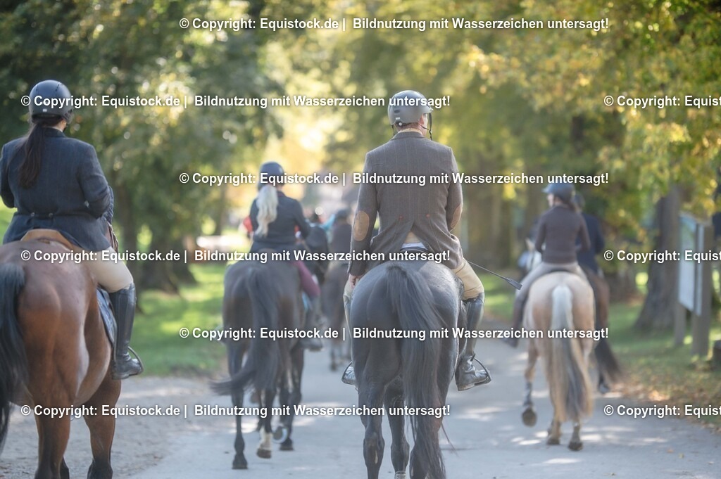 20251011_Jagd-Marbach_0621 | Foto: Thomas Hartig