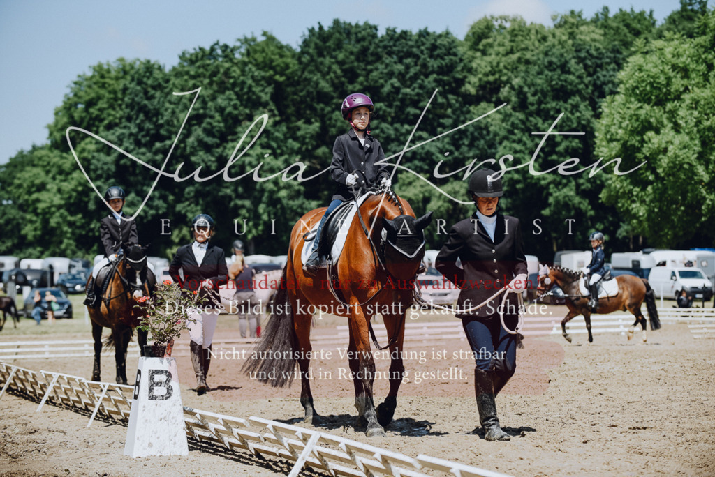 DSC_2243 | Pferde- und Turnierfotografie in Westsachsen. Pferdeportraits, Auftragszeichnungen und intuitive Kunst.