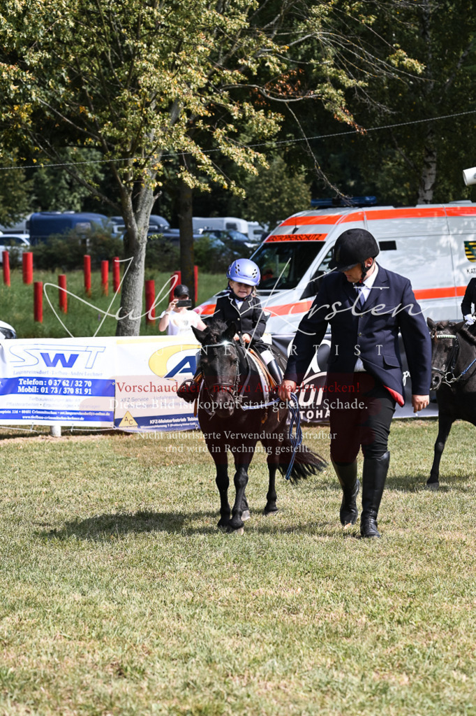 DSC_6864 | Pferde- und Turnierfotografie in Westsachsen. Pferdeportraits, Auftragszeichnungen und intuitive Kunst.
