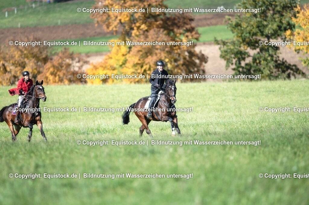 20251011_Jagd-Marbach_0201 | Foto: Thomas Hartig