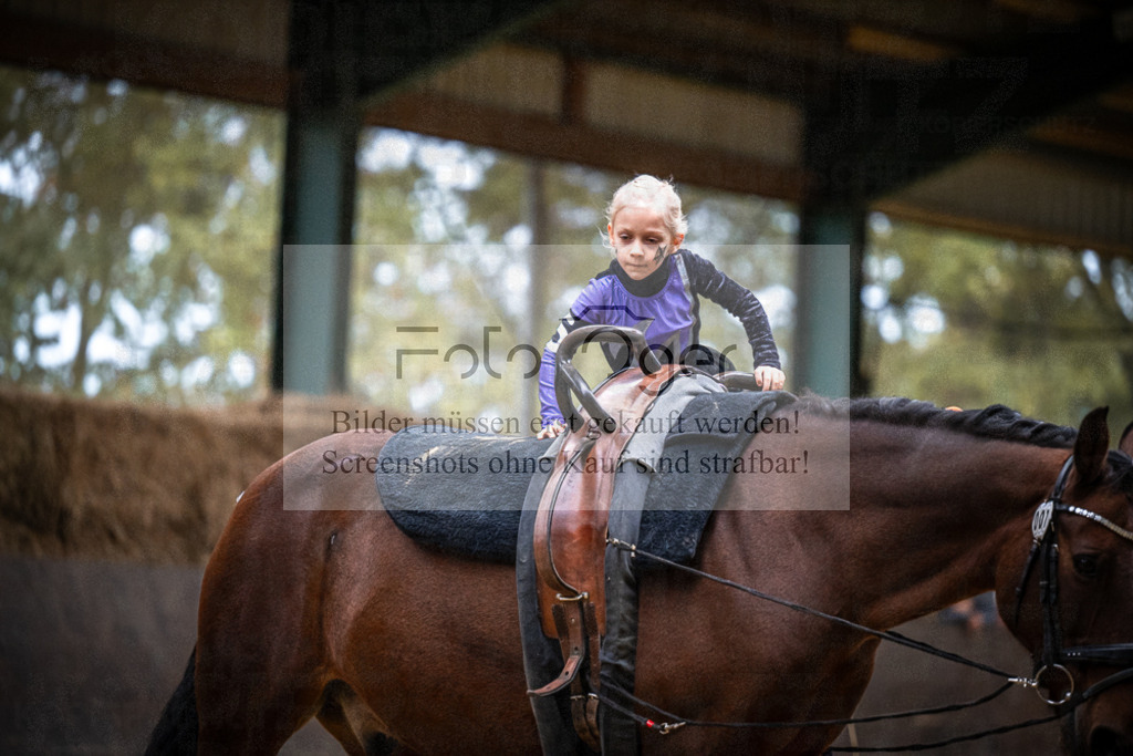 DOS_0123 | Entdecke hochwertige Reitturnierfotos von Foto Oger. Professionell, emotional und authentisch – jetzt Lieblingsmomente im Shop bestellen.Deutschlandweite Turnierfotografie. - Realisiert mit Pictrs.com