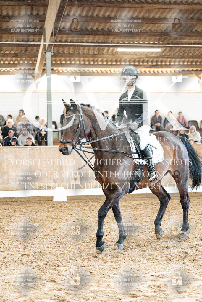 CK909979 | Turnierfotografie Pferdefotografie Trier Rheinland-Pfalz Pferdesport Reitsport Tierfotografie Sportfotografie Pferdevideo Pferdevideografie Equestrianvideography equestrianphotography  - Realisiert mit Pictrs.com
