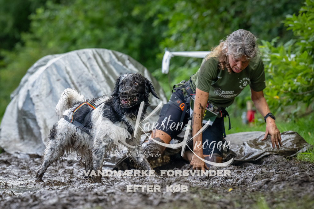 1142_ZZ94000-Bearbeitet | kk-dogfotos