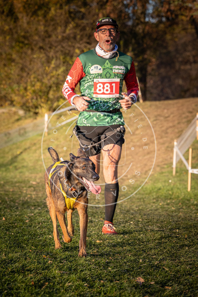 CaniXpix_0L8A1163 | Hundefotografie, Tierfotograf, Pfotenfotografie, Fotoshooting Hund, Hunde Portrait, Hundesport, Hundeportraits, Heideshooting, Hunde, Sportfotograf, Hundefotograf, Turnierhundsport, THS,  - Realisiert mit Pictrs.com