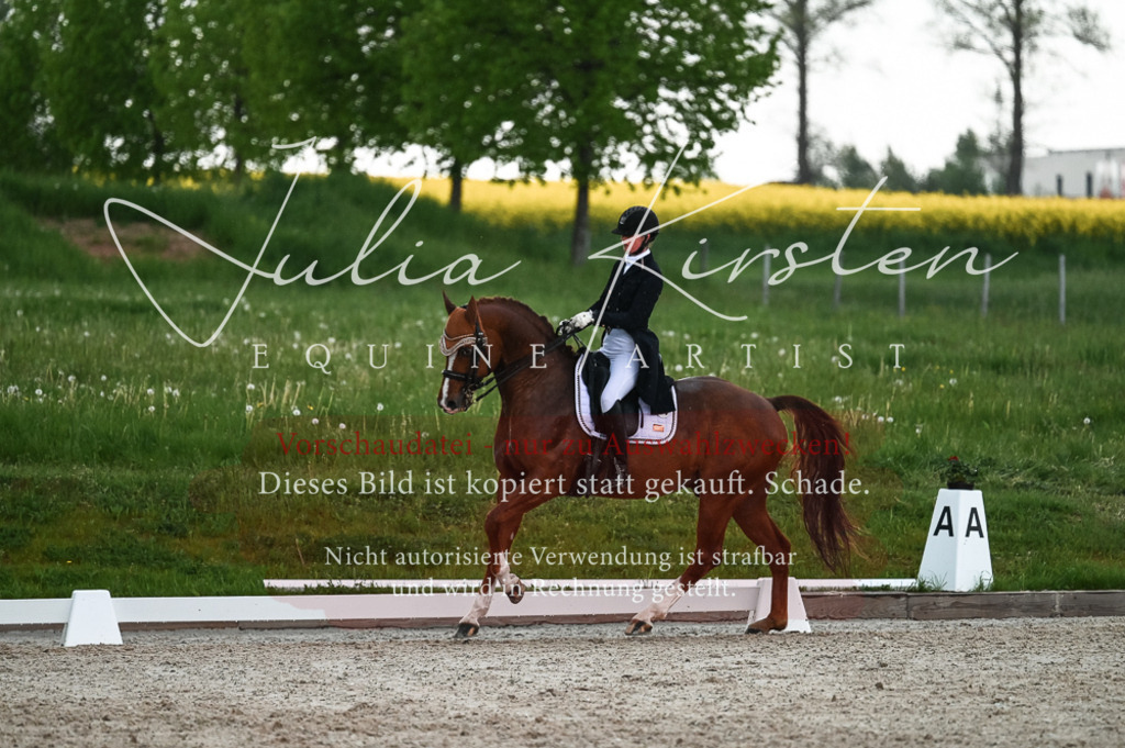 20230514_JK-Röhrsdorf-21-613 | Pferde- und Turnierfotografie in Westsachsen. Pferdeportraits, Auftragszeichnungen und intuitive Kunst.