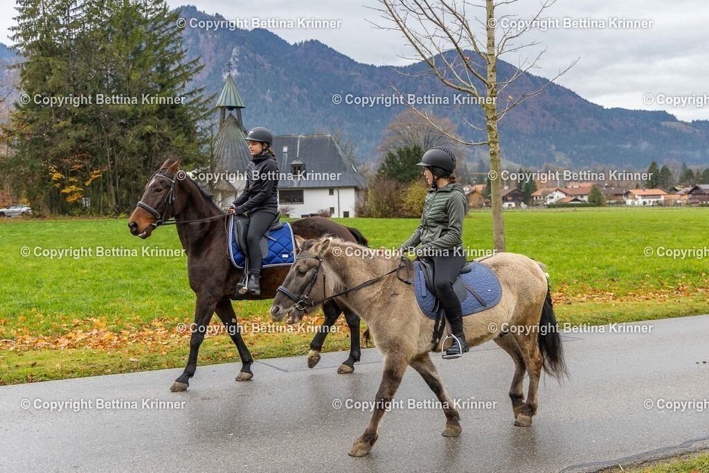 LL25-63 | foto-bettina-krinner - Realisiert mit Pictrs.com