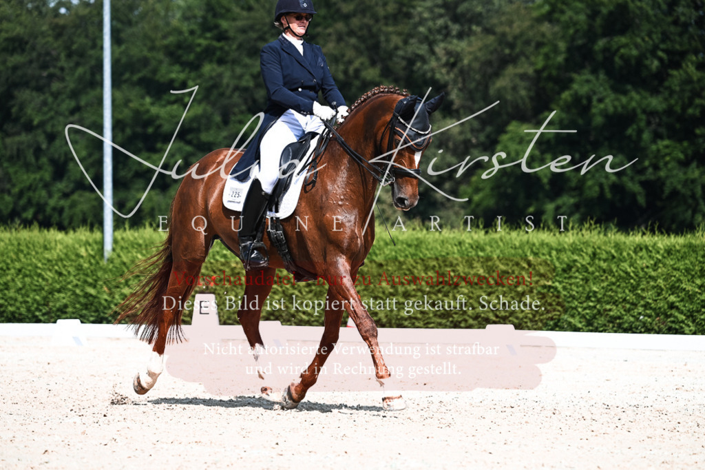 DSC_3181 | Pferde- und Turnierfotografie in Westsachsen. Pferdeportraits, Auftragszeichnungen und intuitive Kunst.