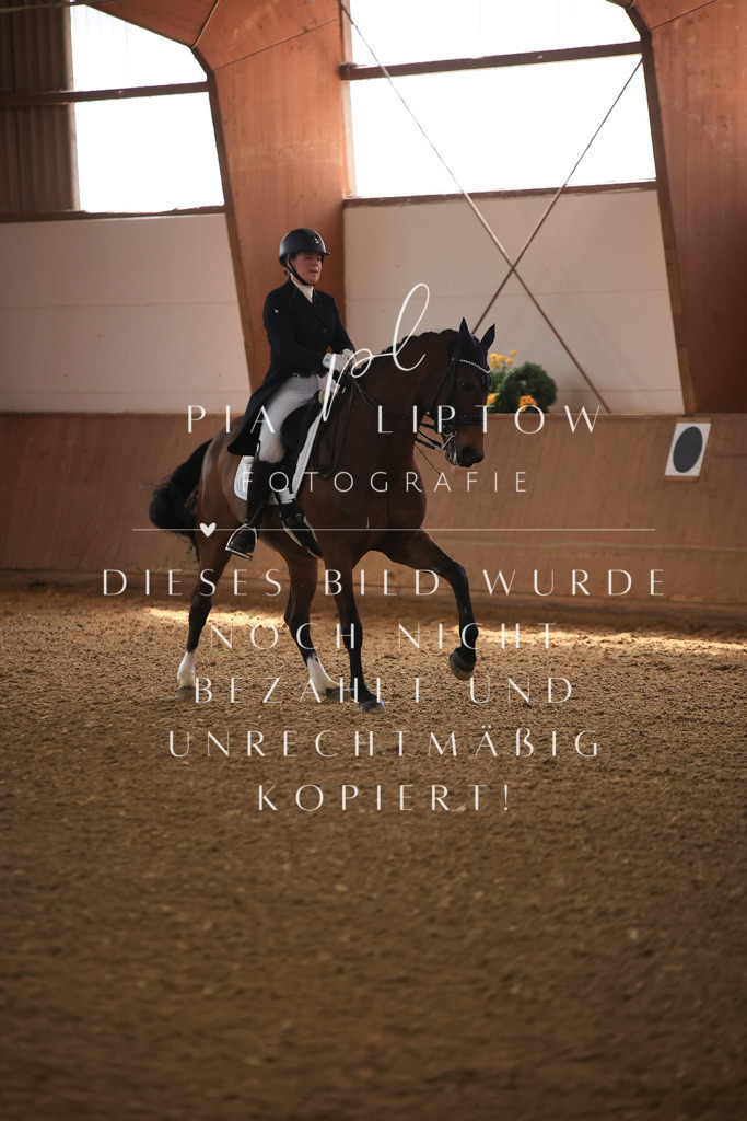 IMGT4013 | pl-fotografie