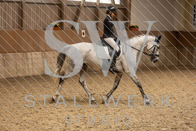 2L2A4231 | stallwerkstudio - Realisiert mit Pictrs.com