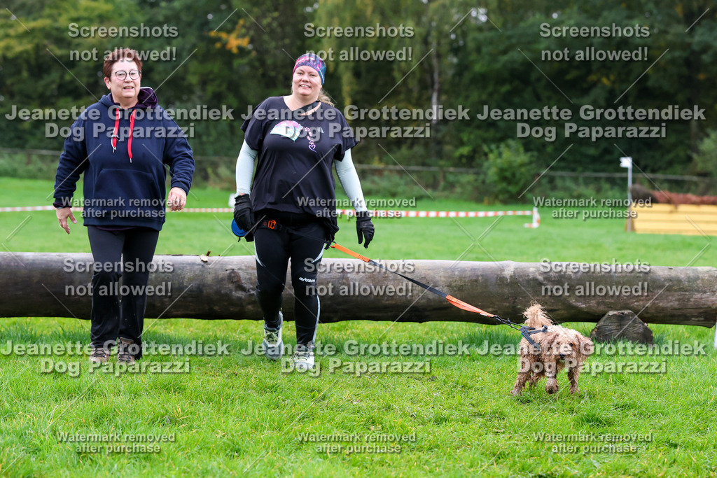 Dog Paparazzi -  SD1026-965 | Dog Paparazzi Jeanette Grottendiek Fotografie & Videografie - Realisiert mit Pictrs.com