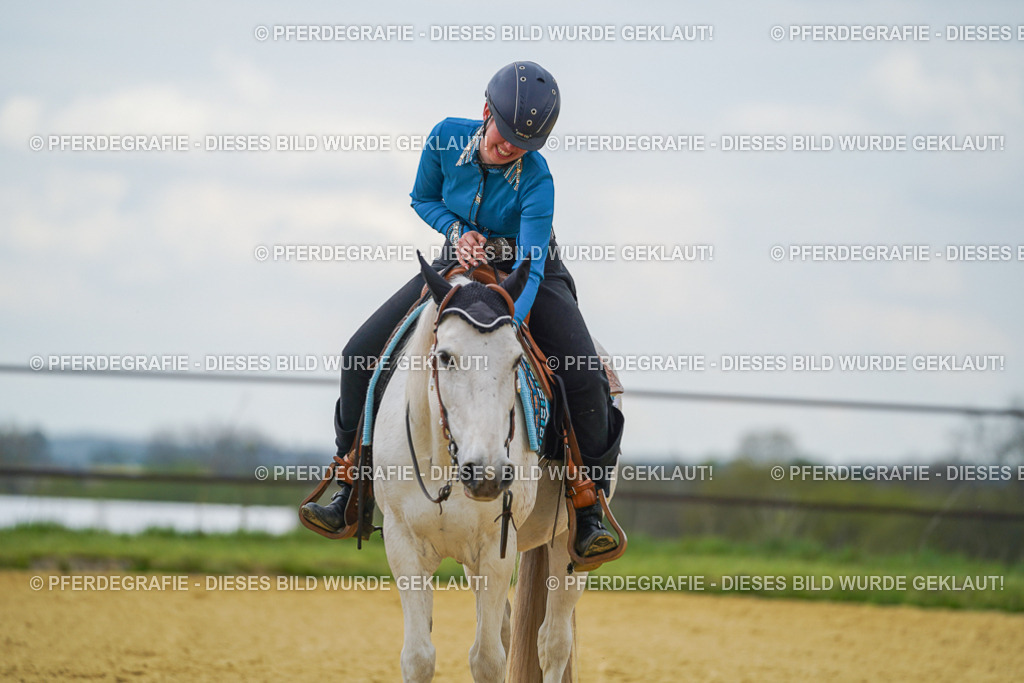 DSC06725 | Pferdegrafie