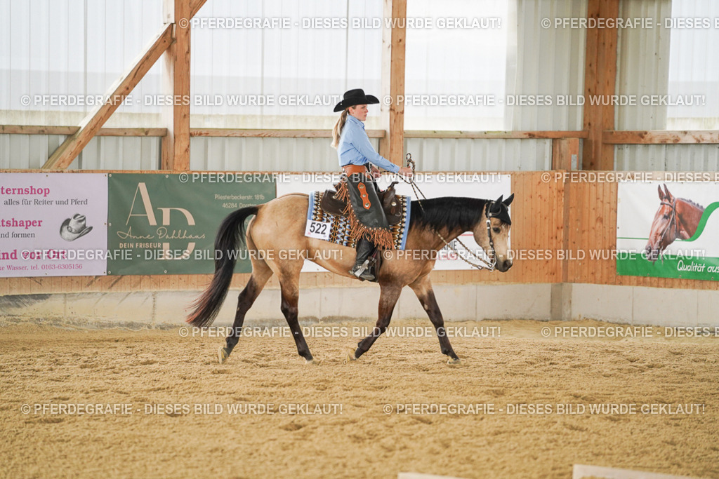 DSC03454 | Pferdegrafie