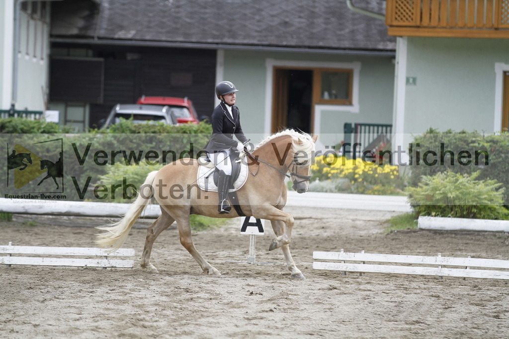 _MG_0970 | equestrian-live-com