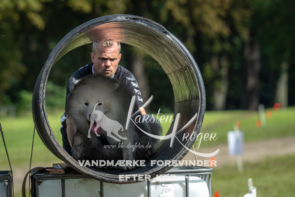 1314_ZZ92710 | kk-dogfotos