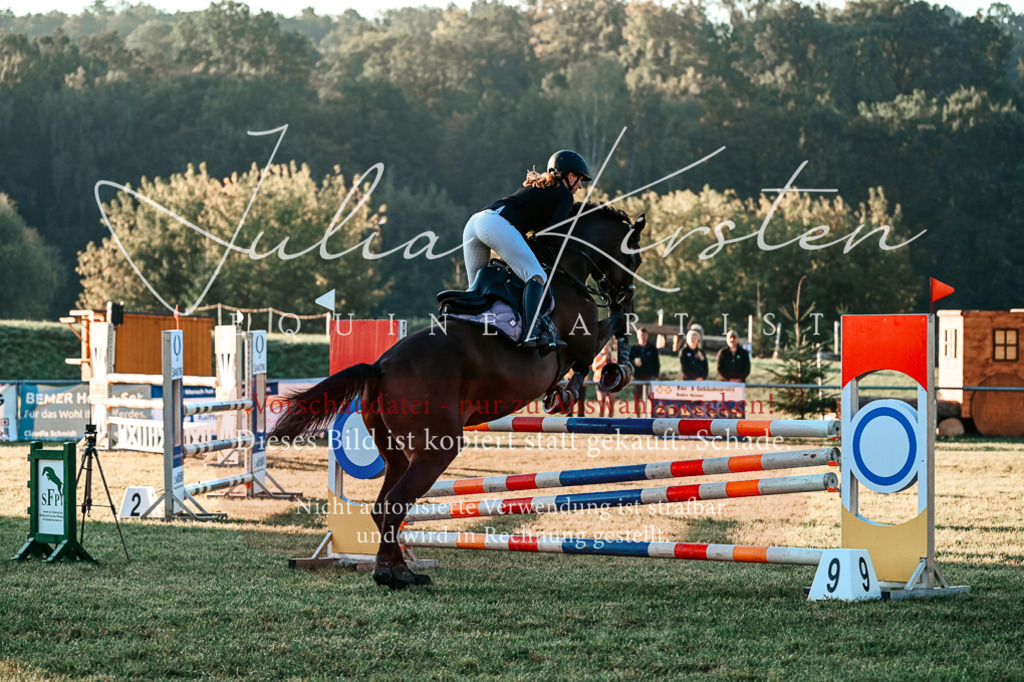 DSC_3796 | Pferde- und Turnierfotografie in Westsachsen. Pferdeportraits, Auftragszeichnungen und intuitive Kunst.