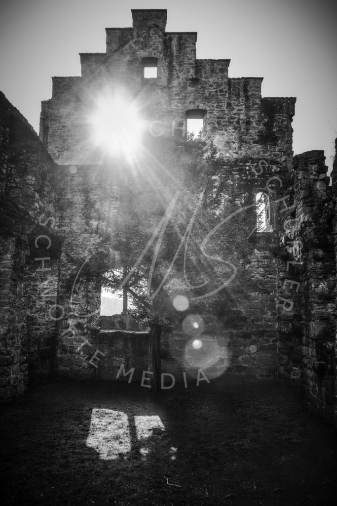 2021-02-24 Zavelstein Burg Krokus-8 | Druchblick - Burg Zavelstein - Realisiert mit Pictrs.com