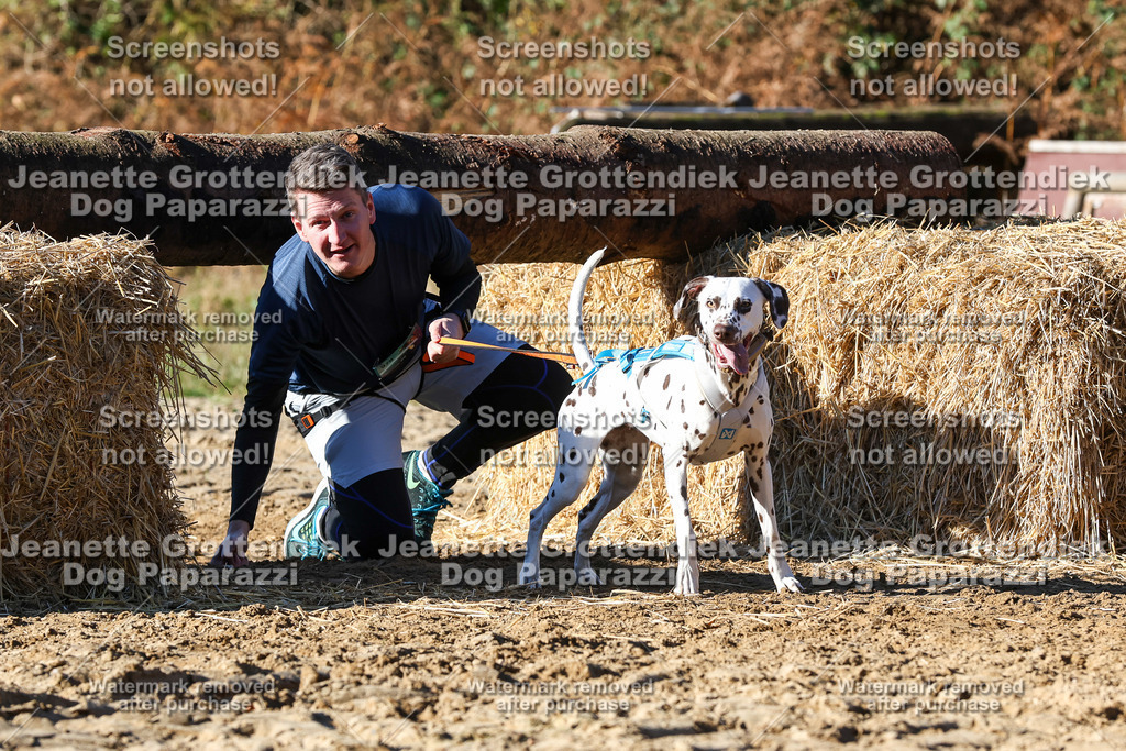 Dog Paparazzi - Strongdog 10-25-2096 | Dog Paparazzi Jeanette Grottendiek Fotografie & Videografie