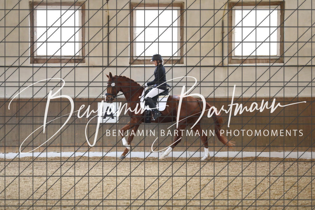 AZ2A0925 | Benjamin Bartmann Photomoments