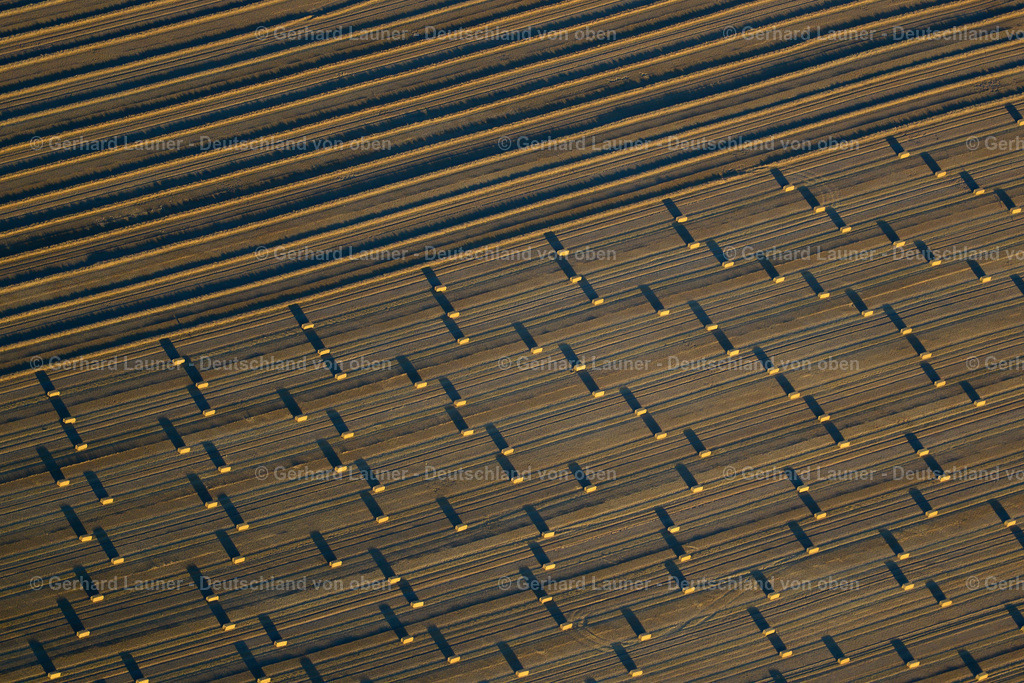 3638621 | Feldstrukturen bei Döcklitz