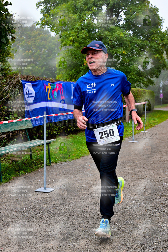 Z8N_2355 | la-psv - Realisiert mit Pictrs.com