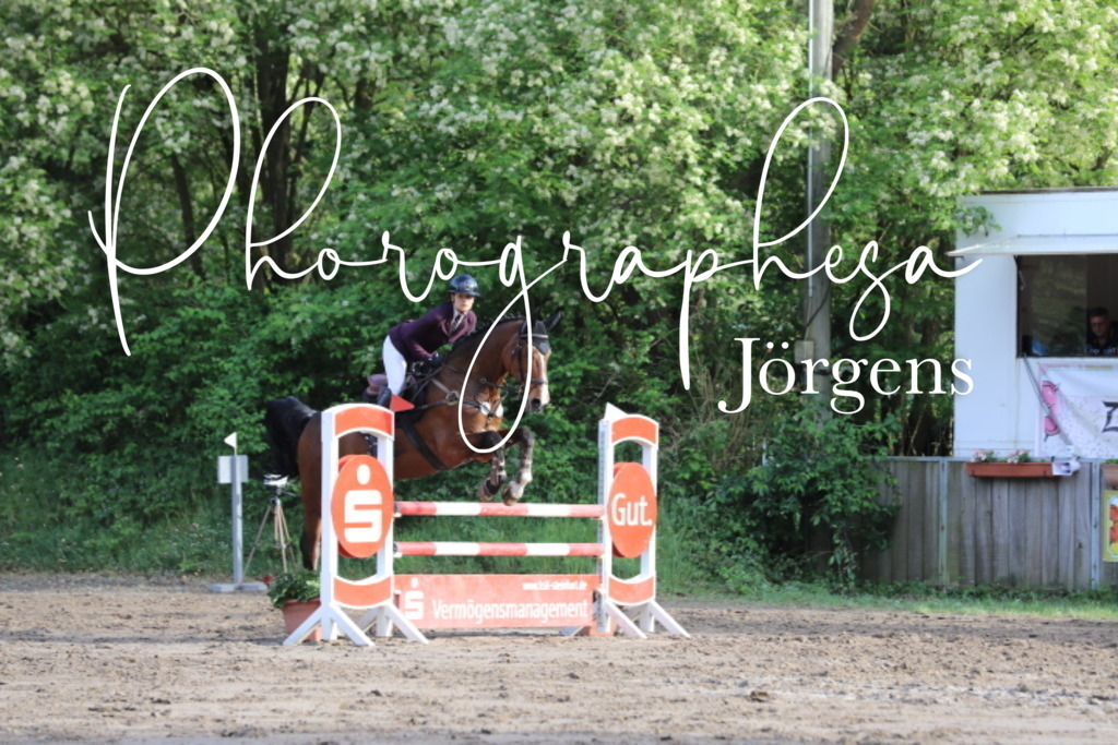 IMG_9111 | photographesa-joergens - Realisiert mit Pictrs.com