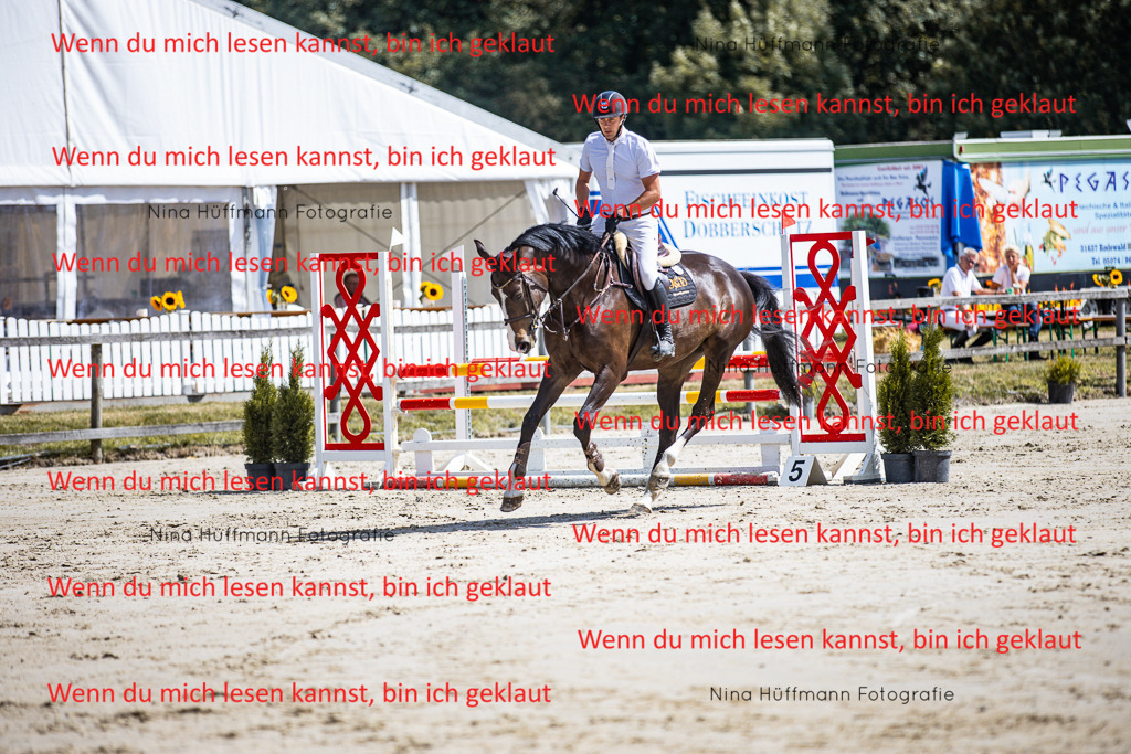 BK1A5073 | Turnierbilder Turnierfotos Nina Hüffmann Turnierfotografie Pferdefotografie Tierzeichnung Haustierzeichnung Pferdezeichnung Hundezeichnung Videograf  - Realisiert mit Pictrs.com