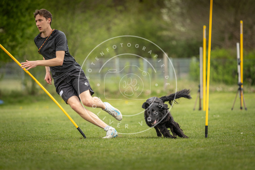 Pfotenfotografie_DV3A9771 | Hundefotografie, Tierfotograf, Pfotenfotografie, Fotoshooting Hund, Hunde Portrait, Hundesport, Hundeportraits, Heideshooting, Hunde, Sportfotograf, Hundefotograf, Turnierhundsport, THS,  - Realisiert mit Pictrs.com