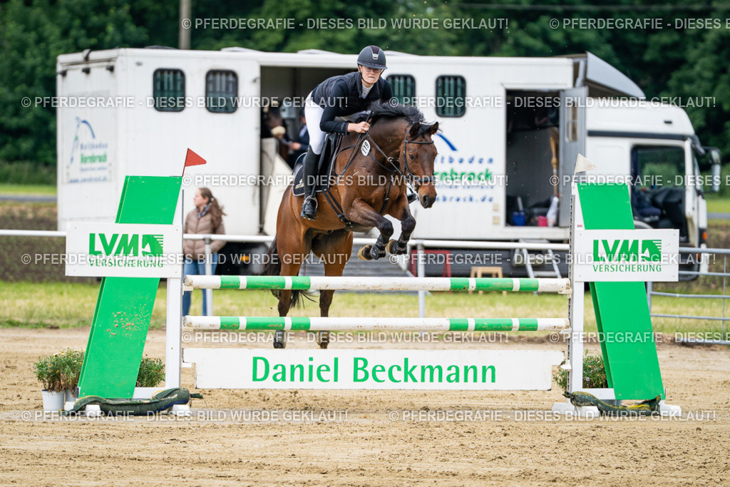 DSC05099 | Pferdegrafie