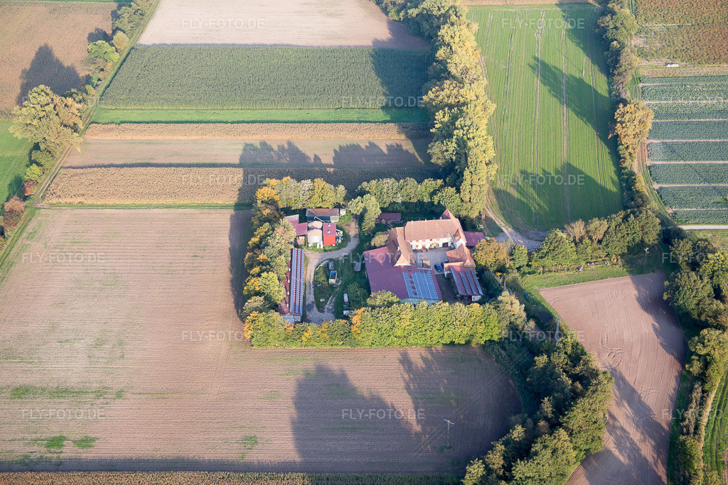 Luftbild: Leistenmühle von Nordwesten in Erlenbach bei Kandel im Bundesland Rheinland-Pfalz in Deutschland. Foto: IMG_073893.jpg vom 03.10.2014 durch Werner Riehm/FLY-FOTO.de
