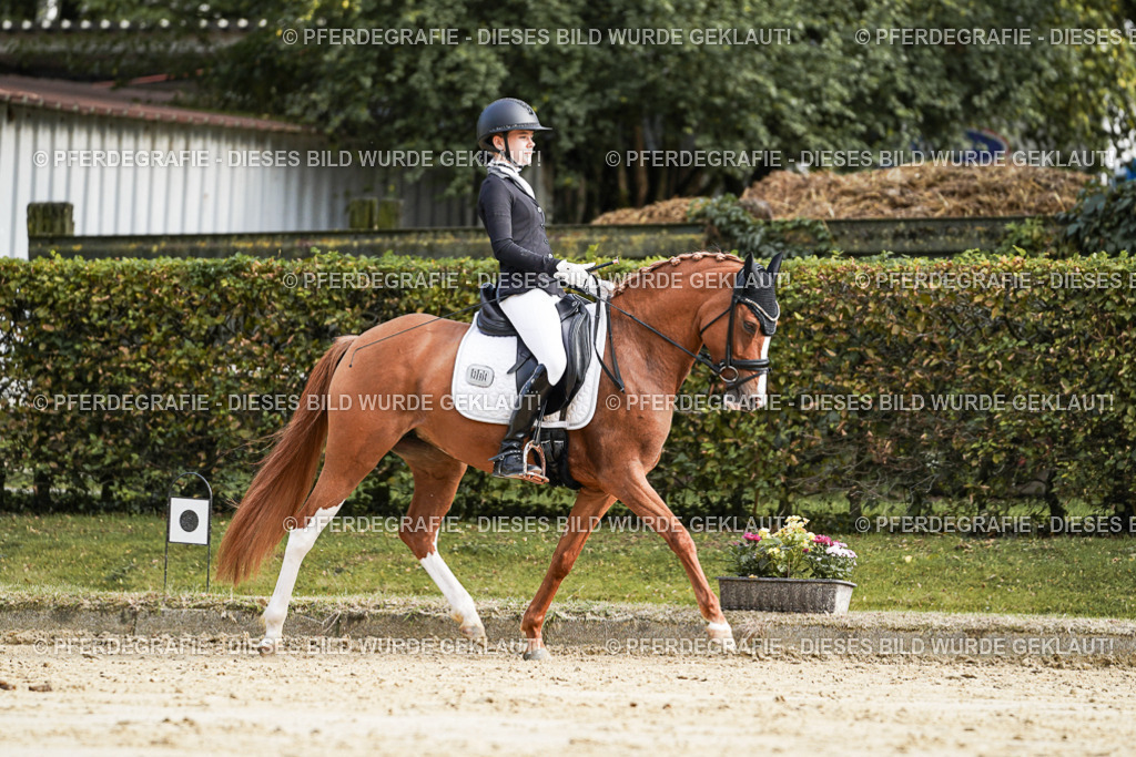 DSC05894 | Pferdegrafie