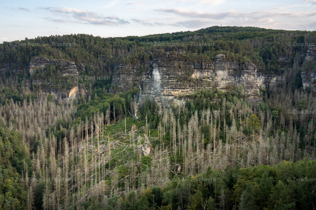 Unterer_Fremdenweg_Gleitmannshorn_Heringshorn_Heringstein | 2022-08-30_Waldbrandgebiete_1 - Realisiert mit Pictrs.com