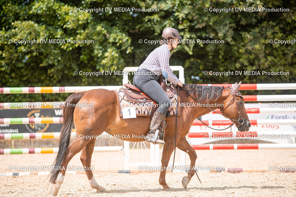 EWP_6601 | dv-media-shop - Realisiert mit Pictrs.com