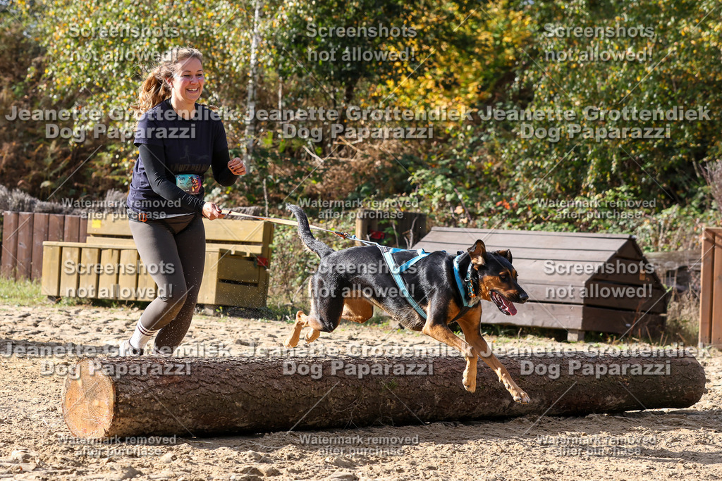 Dog Paparazzi - Strongdog 10-25-5844 | Dog Paparazzi Jeanette Grottendiek Fotografie & Videografie - Realisiert mit Pictrs.com