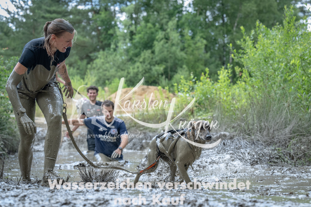 1155_ZZ93528 | kk-dogfotos