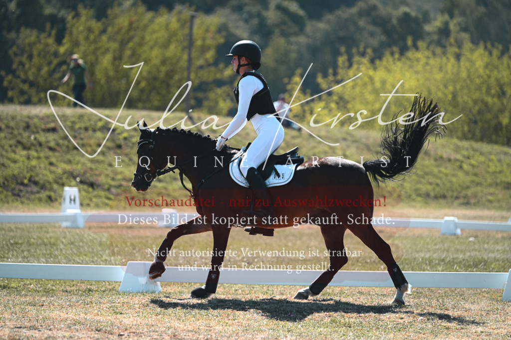 DSC_8278 | Pferde- und Turnierfotografie in Westsachsen. Pferdeportraits, Auftragszeichnungen und intuitive Kunst.