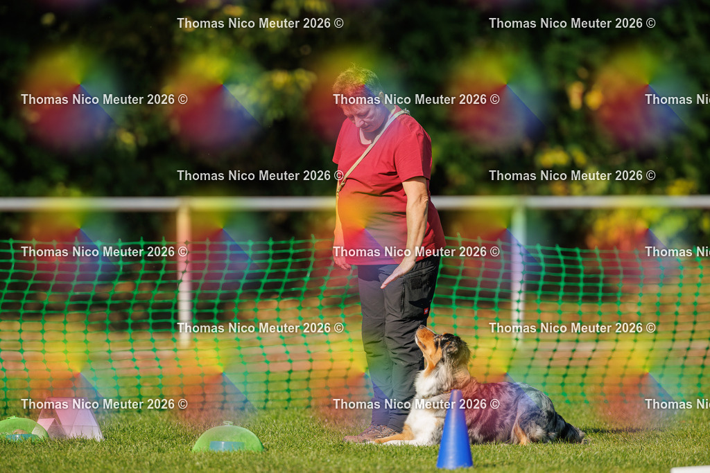 Thomas_Nico_Meuter(C)_04. Oktober 2026_223A2814 | Bild von Thomas Nico Meuter - Realisiert mit Pictrs.com