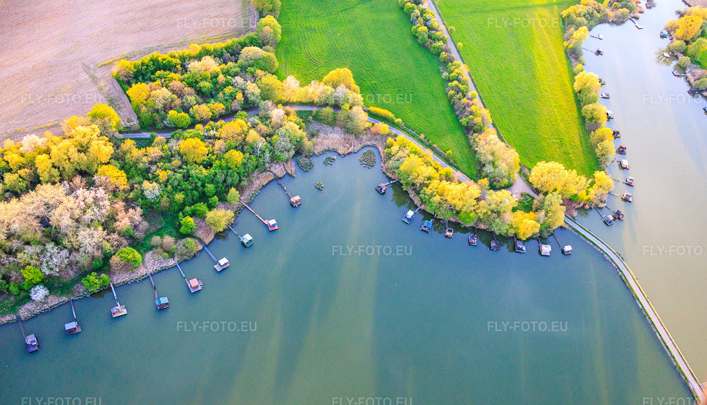 Vue aérienne: Pont sur le lac Étang du Welschhof à Puttelange-aux-Lacs dans le département Moselle, France.Photo: IMG_154396.jpg prise le 17/04/2026 par Werner Riehm/FLY-FOTO.euRésolution de l'original: 5818 x 3333 px