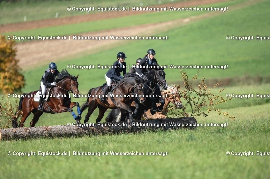 20251011_Jagd-Marbach_0259 | Foto: Thomas Hartig