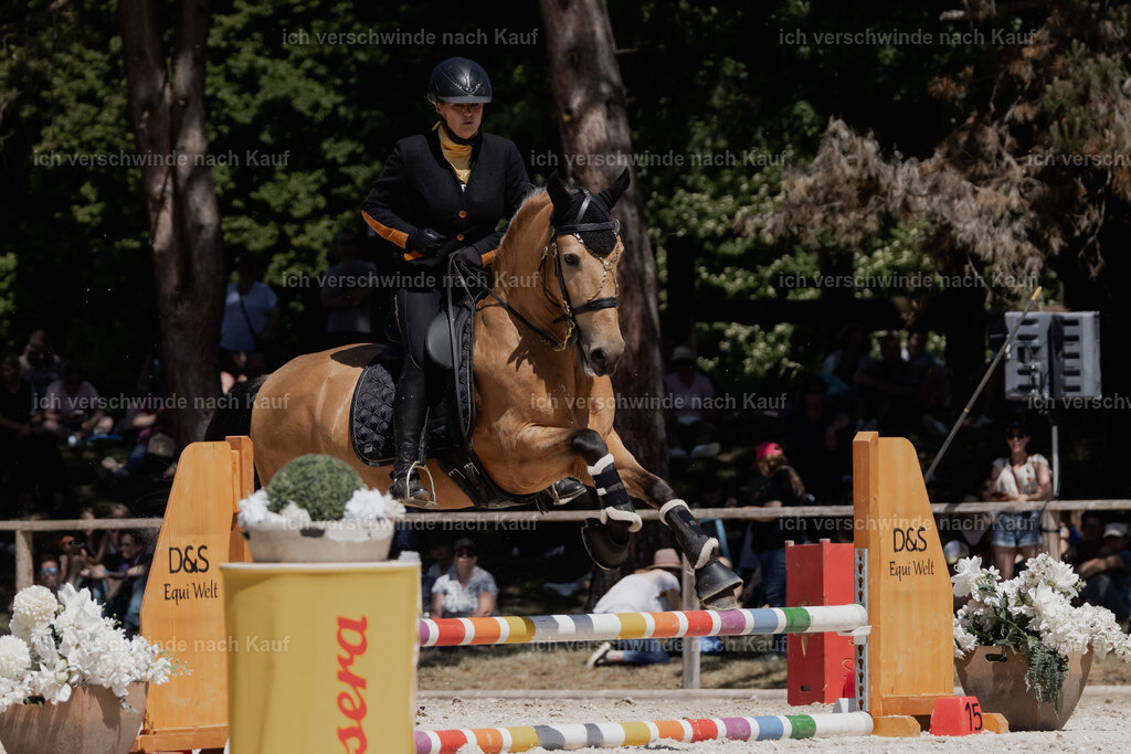 WE_SP_Stoib_319_PI2025_1744 | Pferd International München 2025