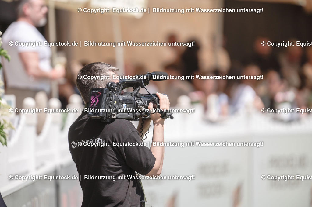 DSC_0365 | equistock