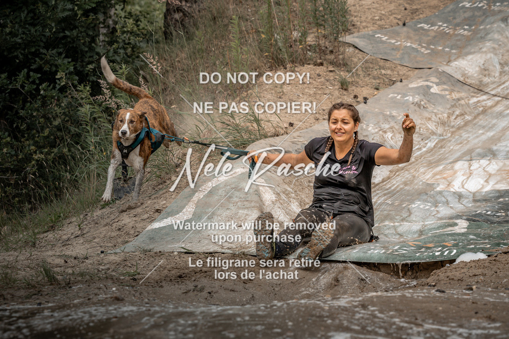 nelerasche_sa1600-1700_240 | nelerasche