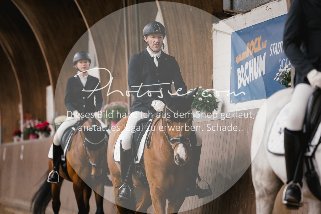 3I6A7207 | Stimmungsvolle Portraits und Reitsportfotografie im Ruhrgebiet und im Münsterland.

Pferdefotografie, Hundefotografie, Tierfotografie, Reportagen, Portraits von Tier und Mensch, Turnierfotografie in Bochum, Recklinghausen, Marl, Haltern am See, Dülmen.. - Realisiert mit Pictrs.com