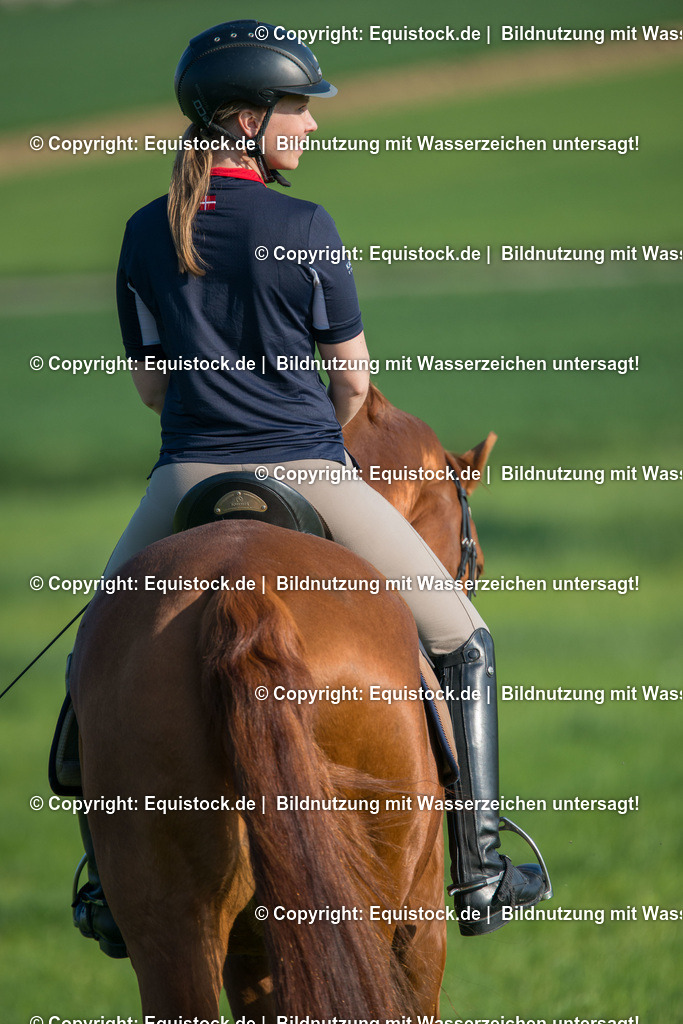 20160411_Fuchs_beim_Ausritt_0002 1 | equistock