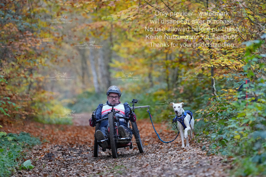 Scooter_So-48 | stephaniefillaphotographie - Realisiert mit Pictrs.com